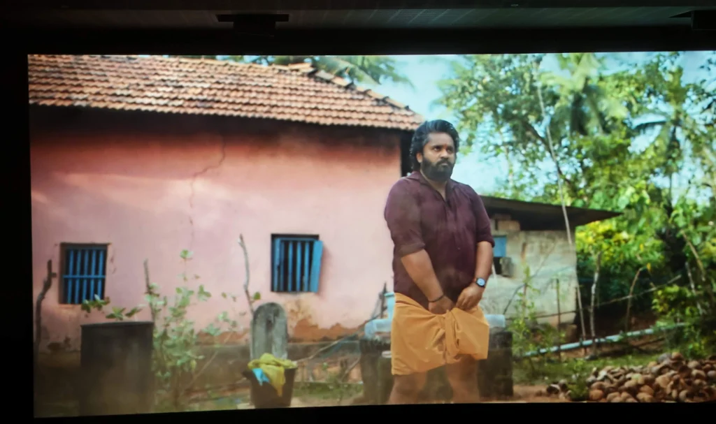  Shaneel Gautham as Ravi Anna